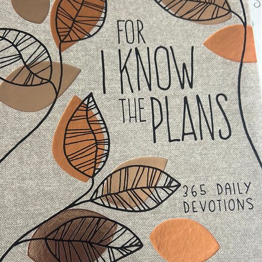 For, I know the plans devotional