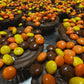 Jumbo Milk Chocolate "Reese
Pieces" Peanut Butter Cups