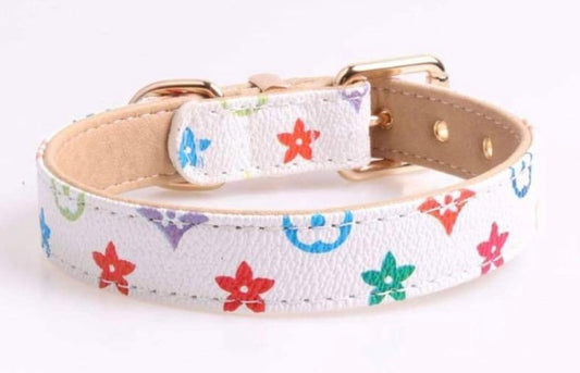 Maggie’s Dog Collar