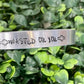 Wasted On You Adjustable Bracelet